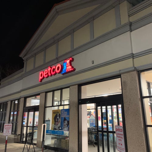 The Best Brighton Brighton Pet Services Trending In 2020 Lyft