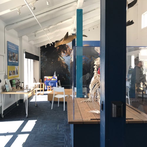 Sea Lion Center
