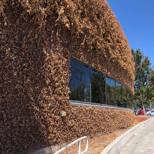 Googleplex 43 1600 Amphitheatre Pkwy Mountain View