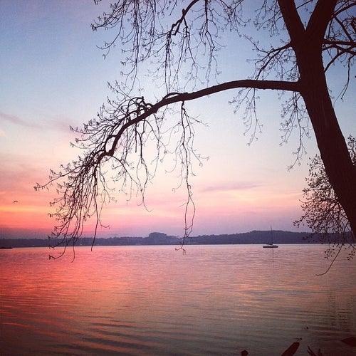 Belle Haven Park Washington Pkwy Alexandria