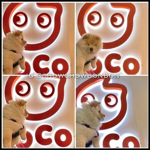 Coco Fresh Tea & Juice