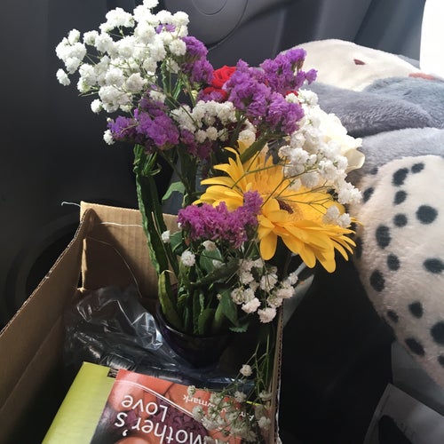 Meadow Maid Market