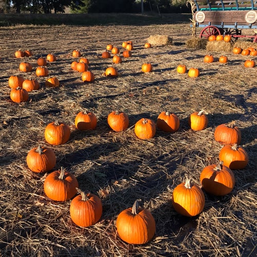Elliot Farm