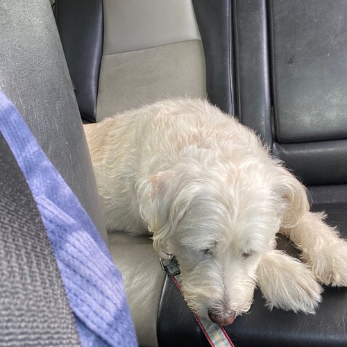 US Post Office 3245 Geary Blvd San Francisco