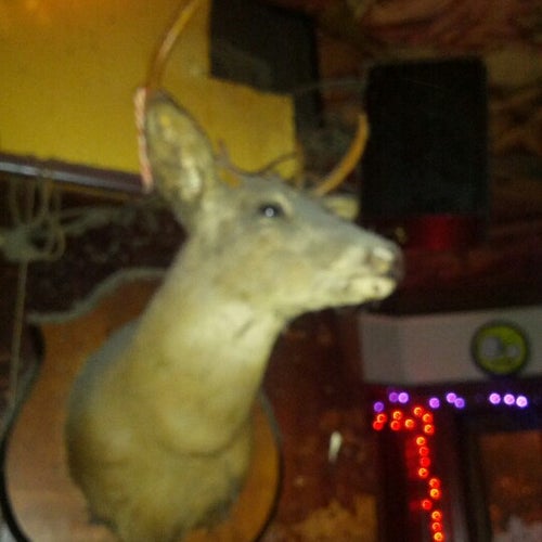 Mount Royal Tavern 1204 W Mount Royal Ave Baltimore