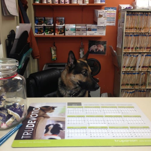 Park Animal Hospital