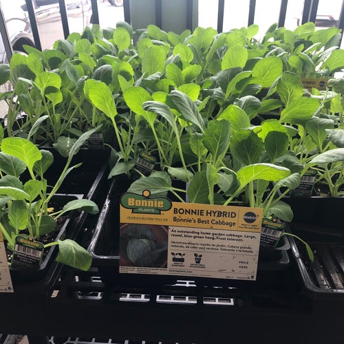 Green's Feed & Seed
