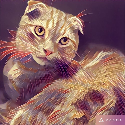 Ambassade de France (French Embassy) 101103 Cluny Park Rd Singapore