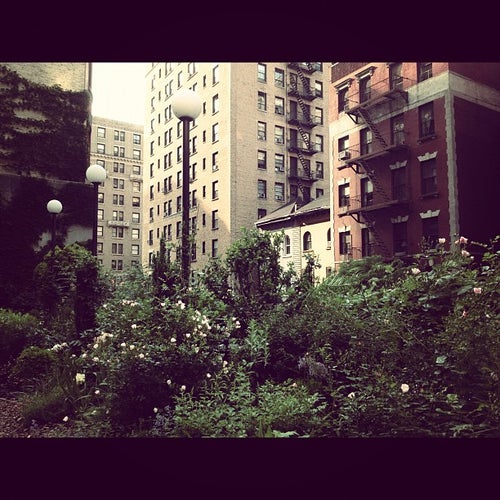 Lotus Garden