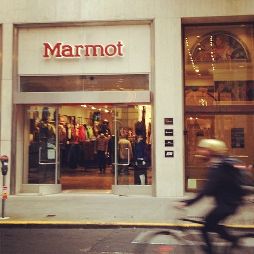 Marmot