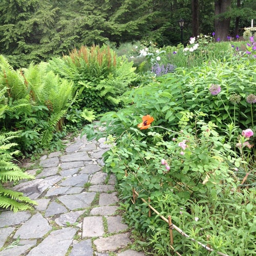 Shakespeare Garden