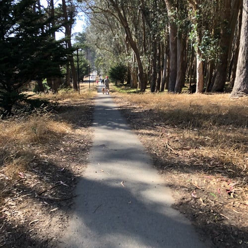 Lover's Lane Lovers Lane San Francisco