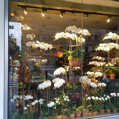 Lenox Hill Florist & Events