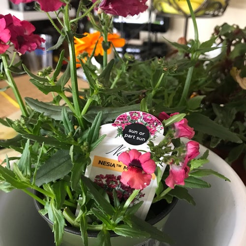 Anawalt Lumber Co 11060 W Pico Blvd Los Angeles