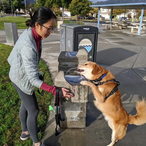 Buena Vista Park