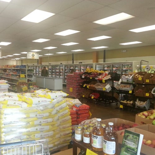 Oasis World Market