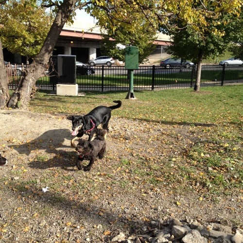 Logan Square Dog Park