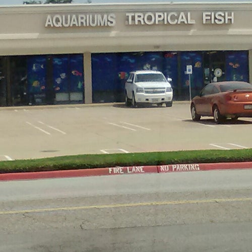 The Fish Place