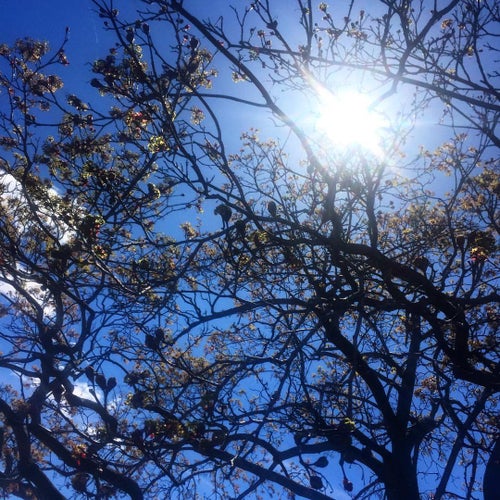 The Hartford Financial Services Group 1 Hartford Plz Hartford