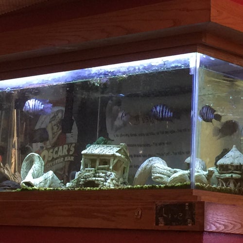 Oscar's Oyster Bar 333 S Tejon St Colorado Springs