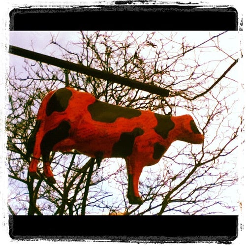 The Sunburnt Cow - 137 Avenue C - New York