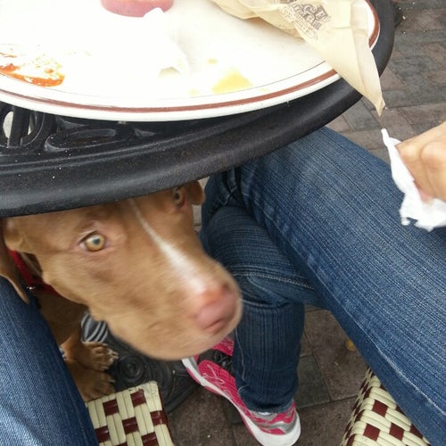 Rose Bakery Cafe - 3536 E Coast Hwy - Corona del Mar