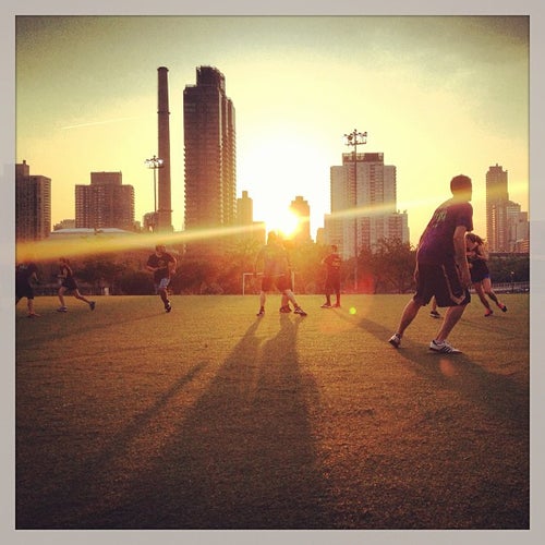 Octagon Field