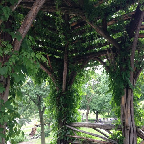 A Treehouse For Dreaming
