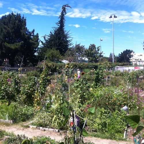 Potrero Del Sol Community Garden