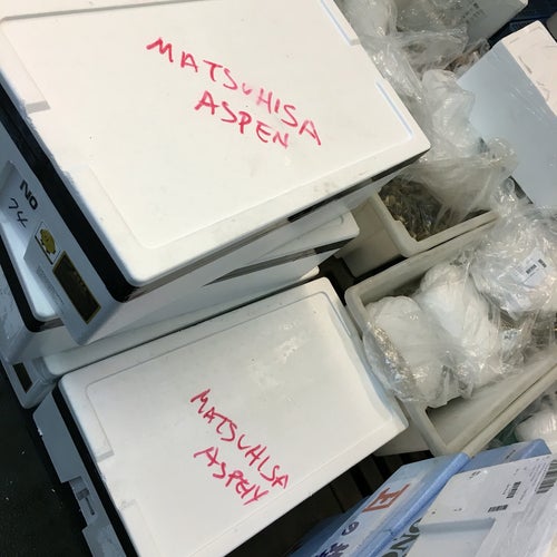 International Marine Products