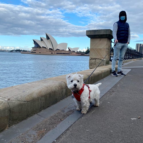 Millers Point Sydney