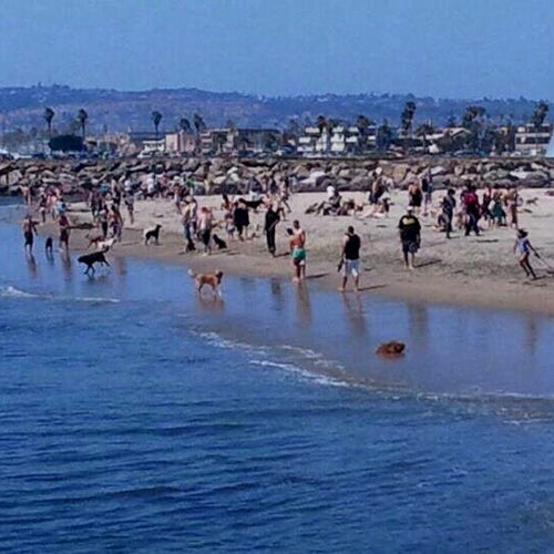 Ocean Beach Dog Beach Voltaire St. San Diego