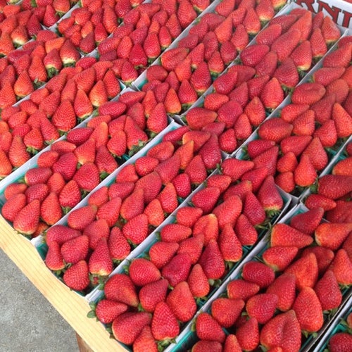 West LA Farmers Market
