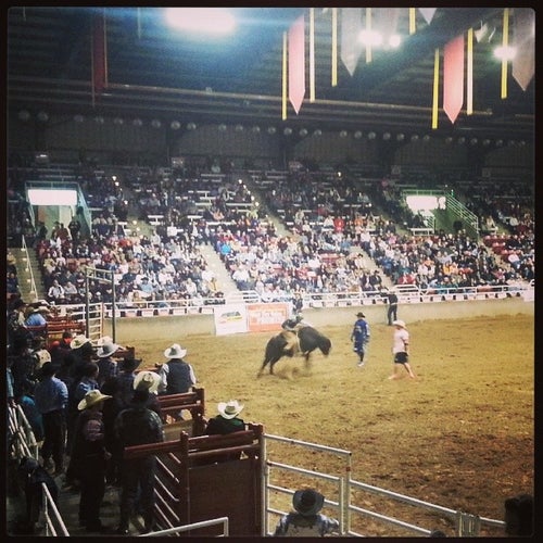 Golden Spike Arena