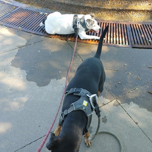 Upper Landing Park Shepard Road Saint Paul