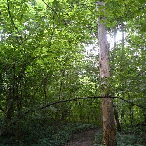 Southeastway Park