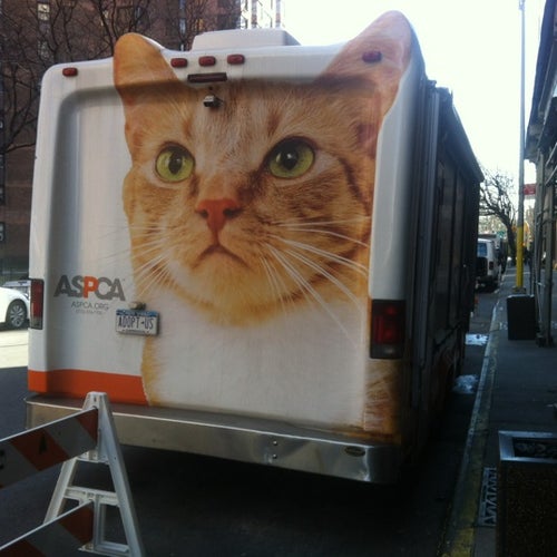ASPCA Adoption Center