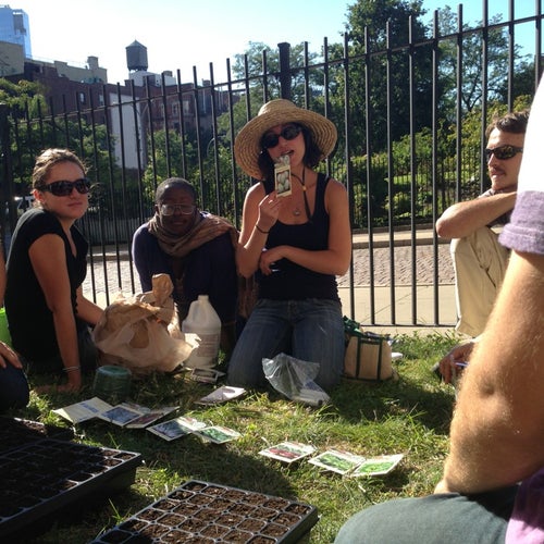NYU Urban Farm Lab