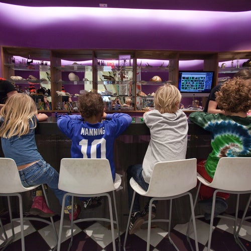 Children's Museum of the Arts