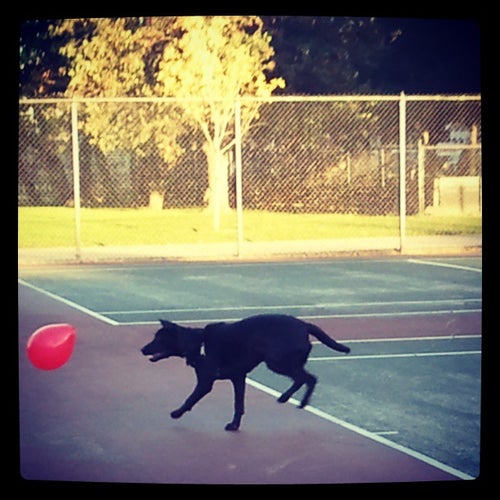 Welles Park Tennis Courts