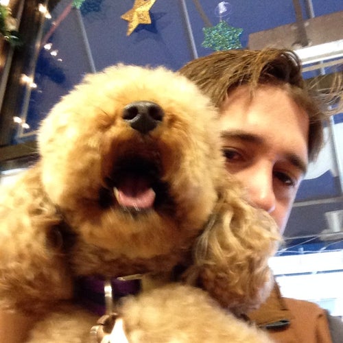 VitalPet - Murray Hill Pet Hospital