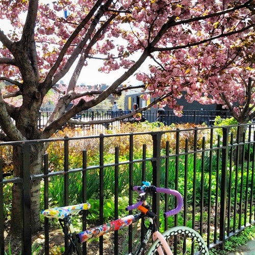 Maria Hernandez Park Irving & Knickerbocker Ave Brooklyn