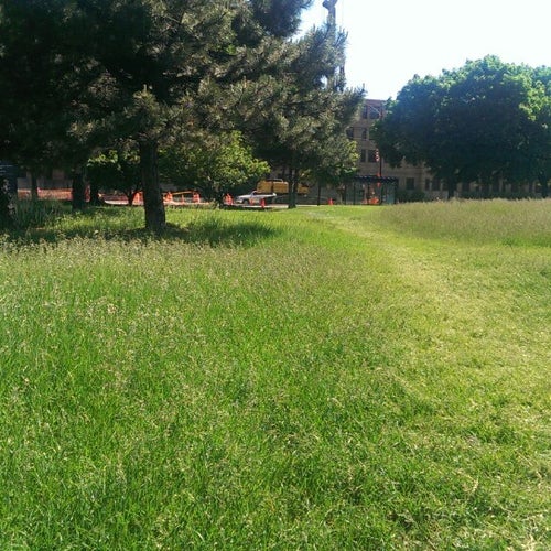 Harrison Field