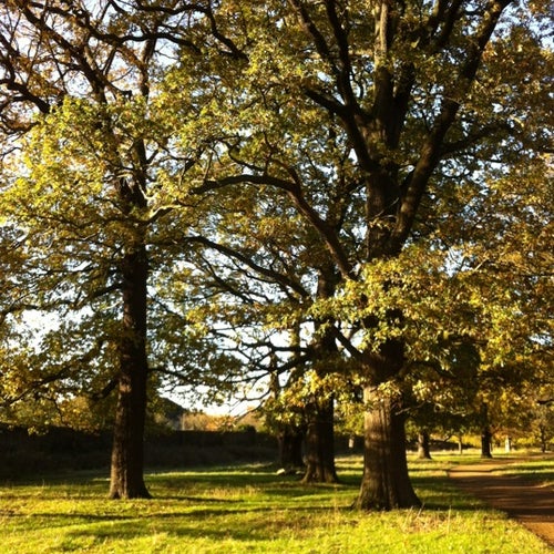 Kingston Gate Queen's Rd Kingston