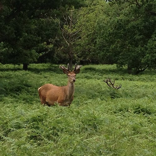 Kingston Gate Queen's Rd Kingston