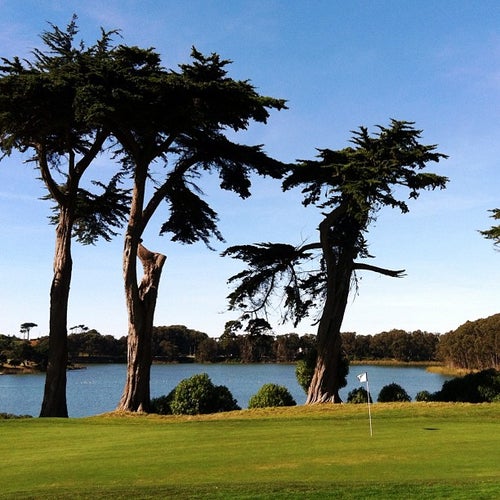 TPC Harding Park