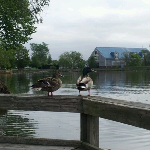 Oronoco Bay Park 100 Madison St. Alexandria