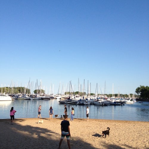 Belmont Harbor Dog Beach