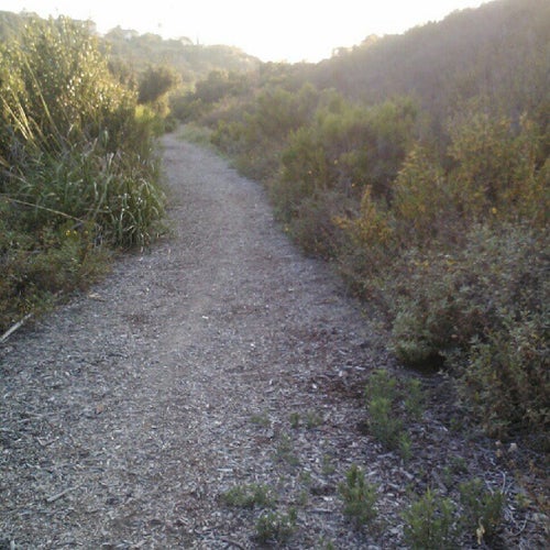 Mission 1 Father Junipero Serra Trl San Diego