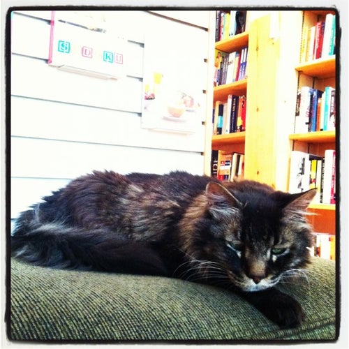Dolly's Bookstore
